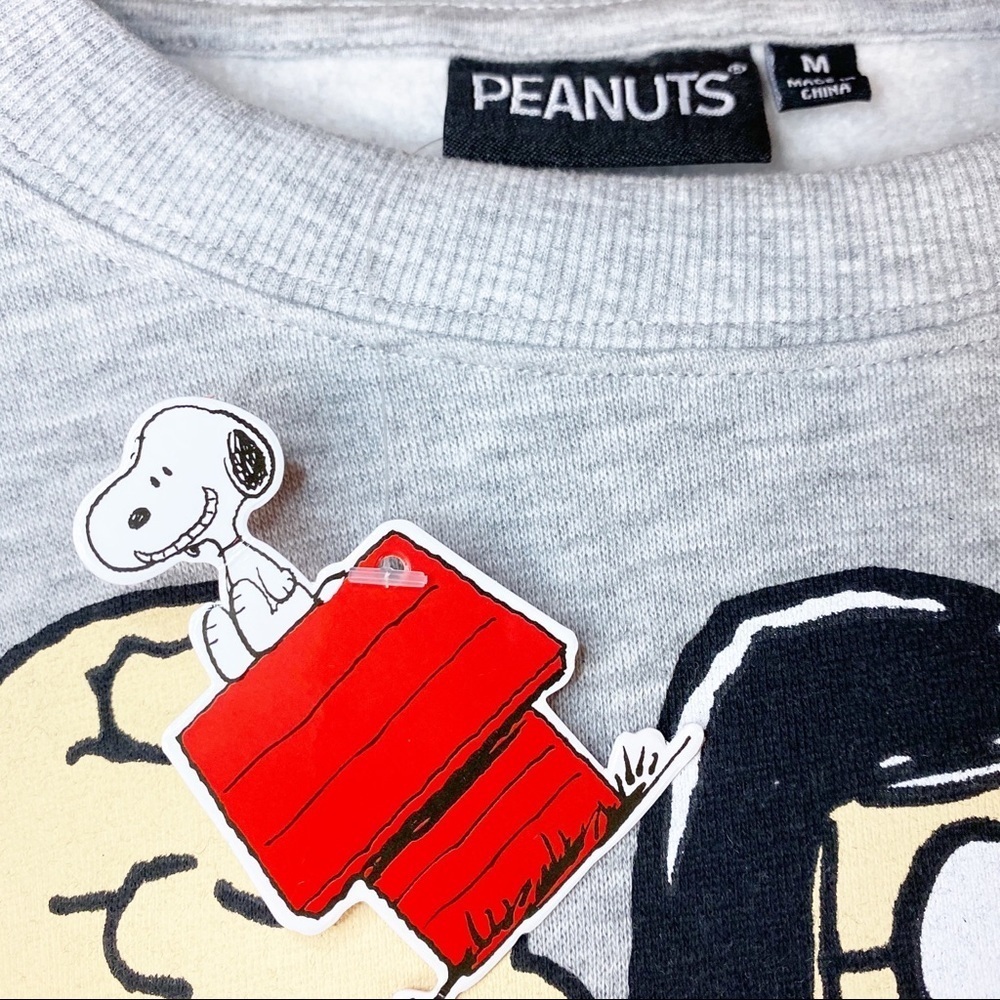 NEW Peanuts Character Gray Pullover Crop Sweater - Picture 4 of 5